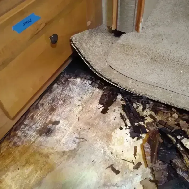 Best Wood Floor Water Damage Service in Washington, GA